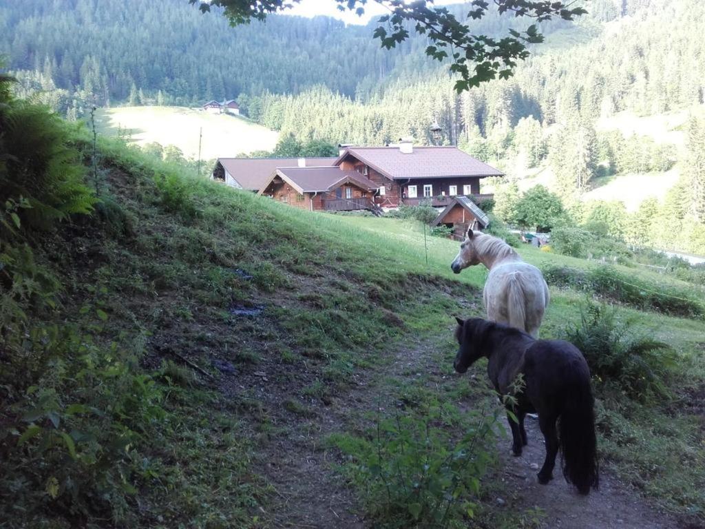 Neudegghof Leilighet Eben Im Pongau Eksteriør bilde