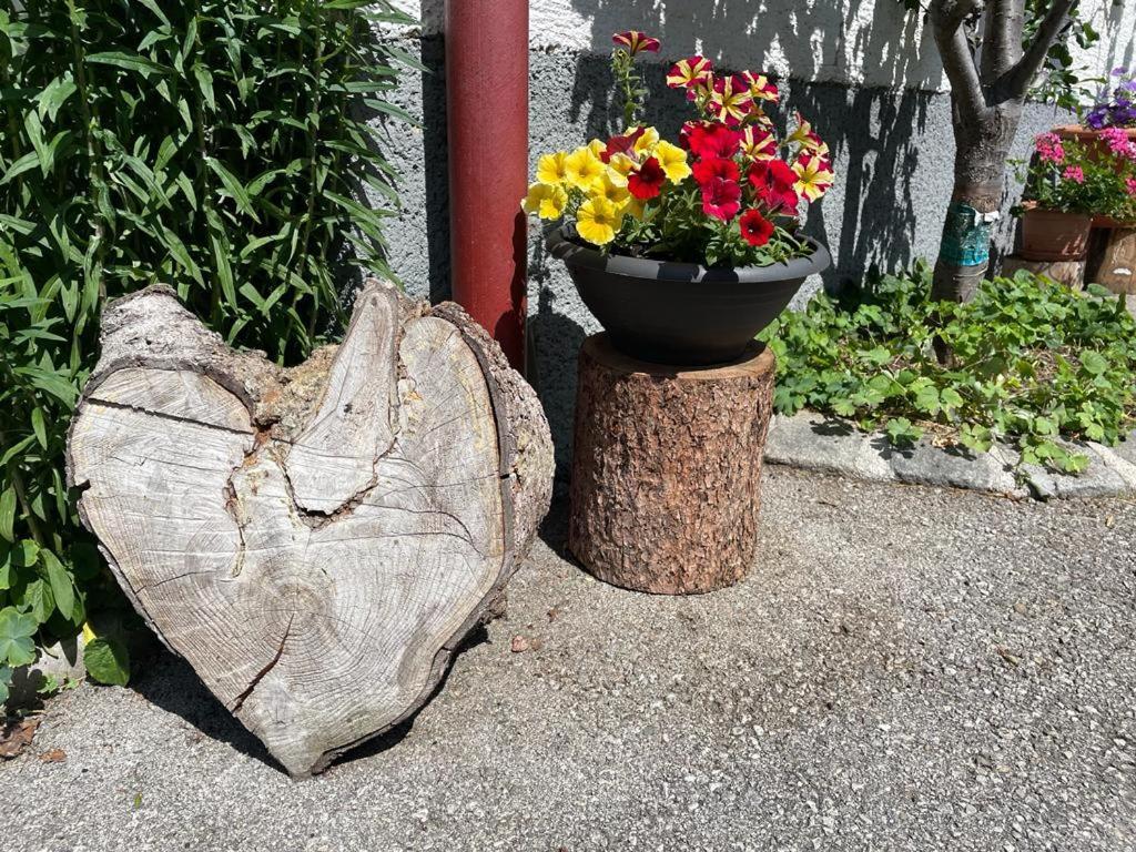 Neudegghof Leilighet Eben Im Pongau Eksteriør bilde